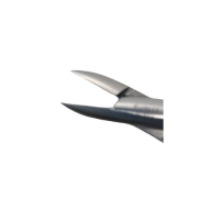 Pince de Coin 13cm – Sécurisée, Acier Satiné – Adaptée aux Diabétiques