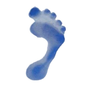 Outils podographiques