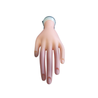 Main d'entraînement pour ongles – Doigts flexibles pour formation manucure