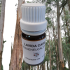 Eucalyptus citronné (Lavida Care) ♥ ♥ - 10 ml 